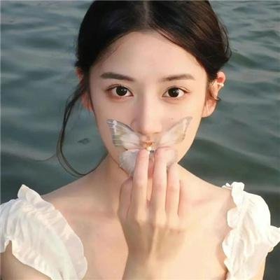 怪人：阿尔·杨科维克的故事